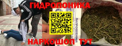 бошки Новокубанск
