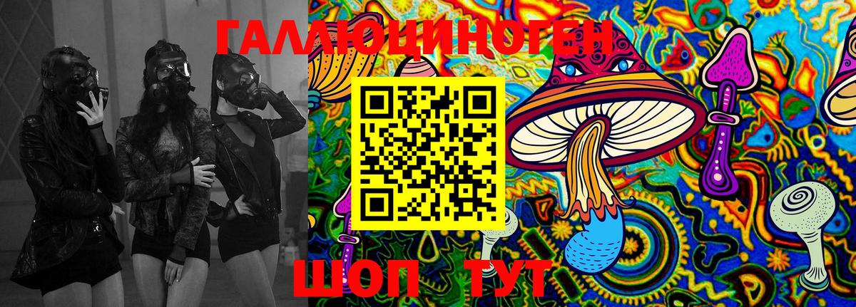 Псилоцибиновые грибы Psilocybine cubensis Советский