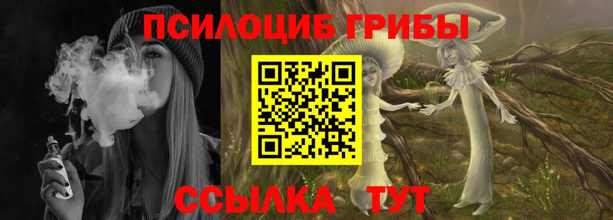 Псилоцибиновые грибы Psilocybine cubensis  Вход с VPN  Советский  купить  сайты  Галлюциногенные грибы прущие грибы 