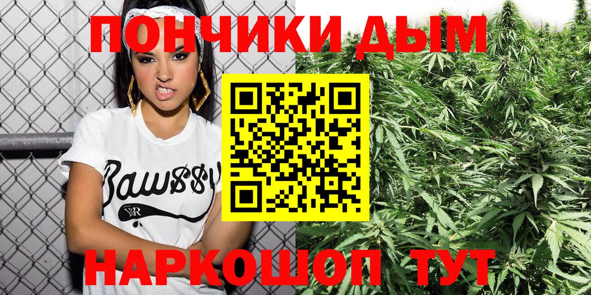 Шишки марихуана конопля Советский